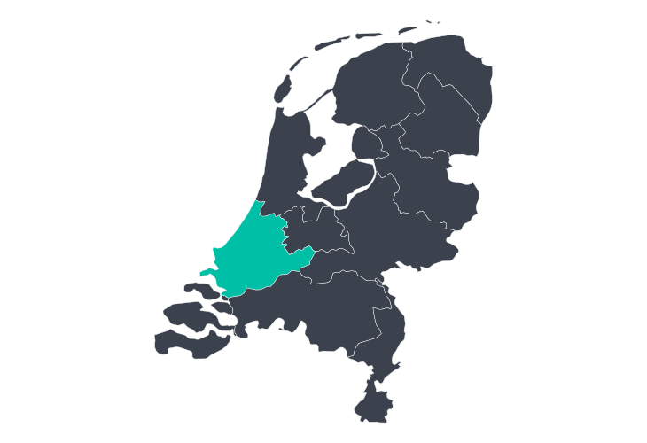 Vrijgezellenfeesten in Zuid-Holland